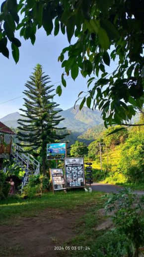 Blue Mountain Cottage
